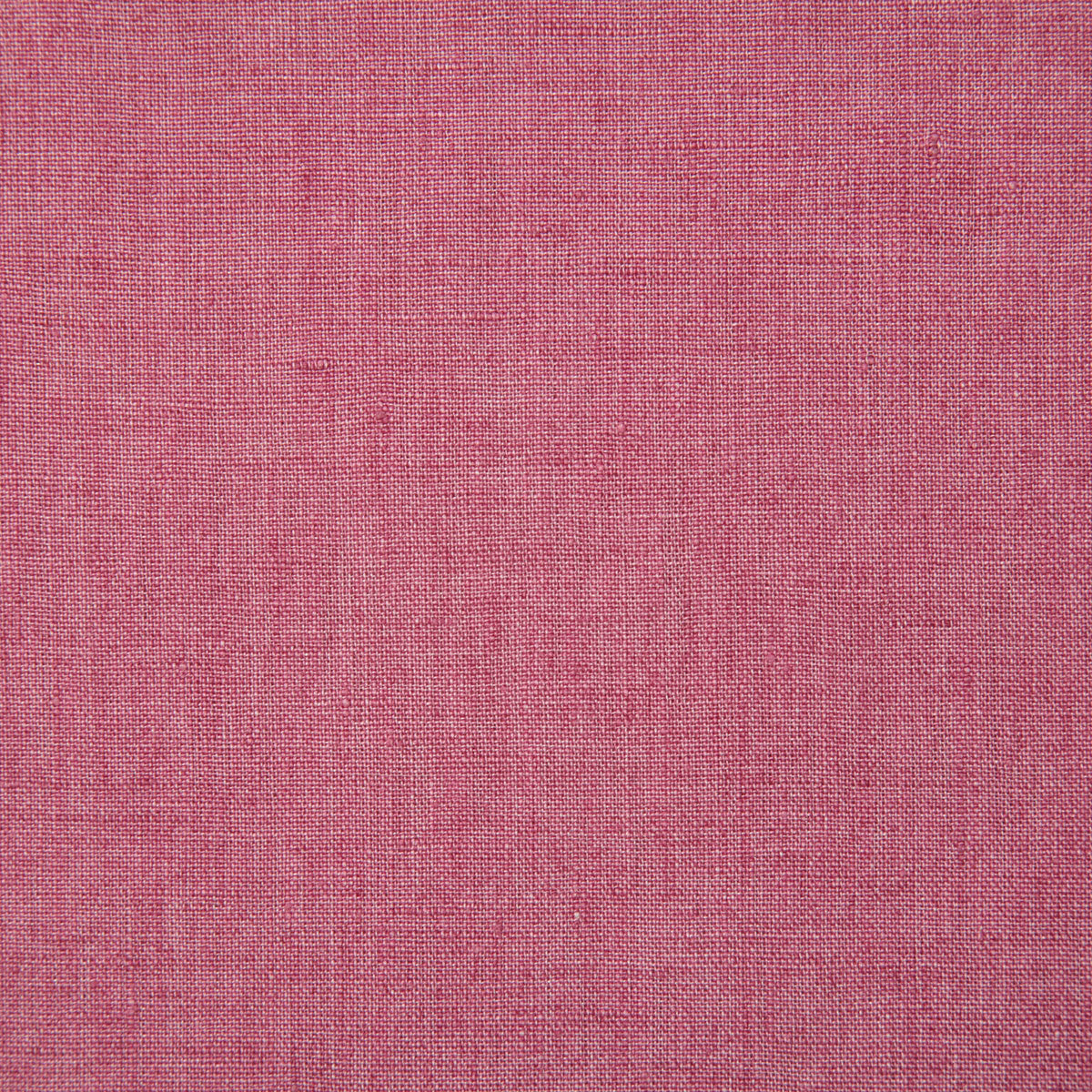 7646-linette-pink-pindler