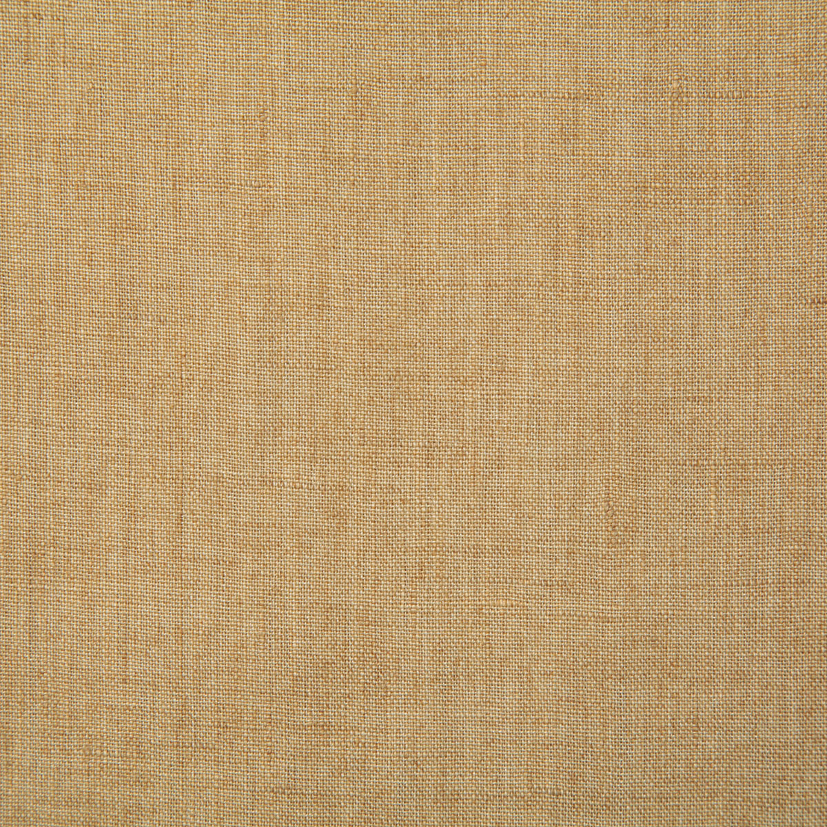 7646-linette-wheat-pindler - Pindler Fabric
