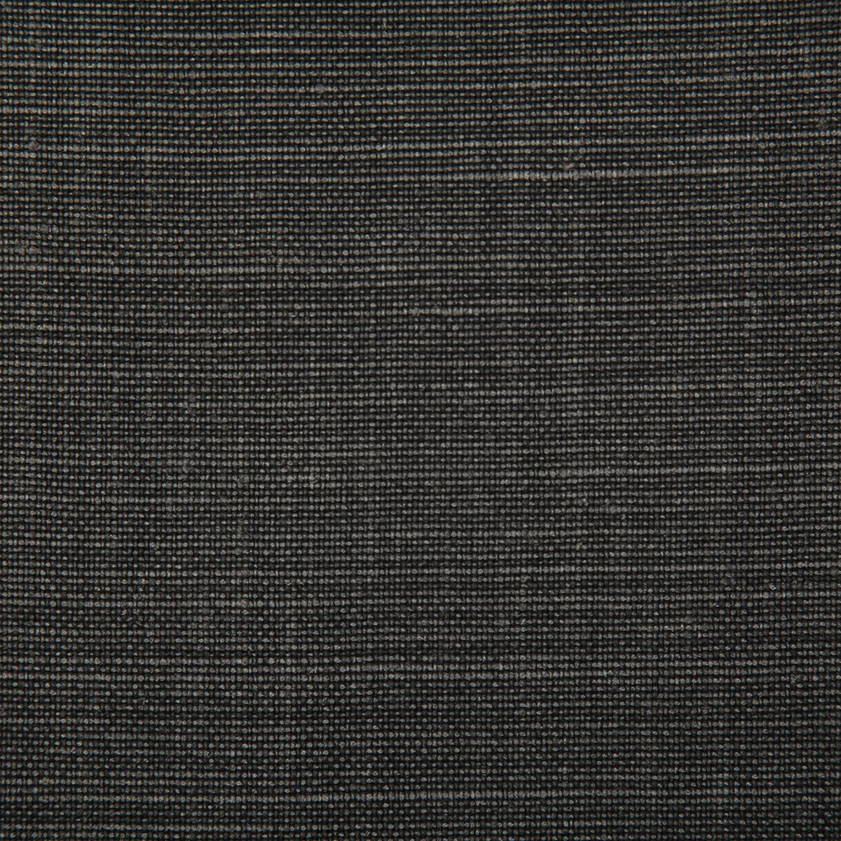 7647-paloma-black-pindler - Pindler Fabric