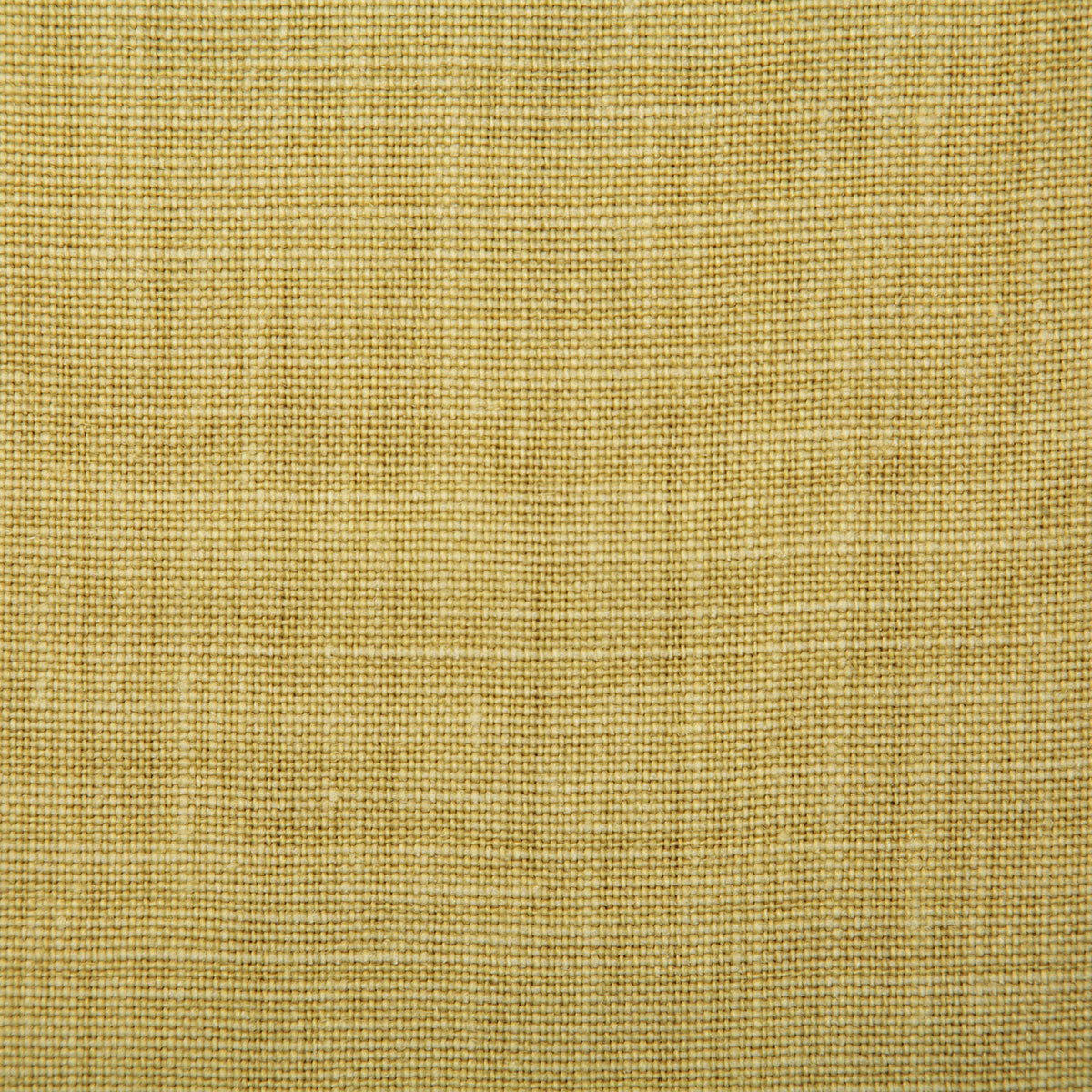 7647-paloma-citrus-pindler - Pindler Tela