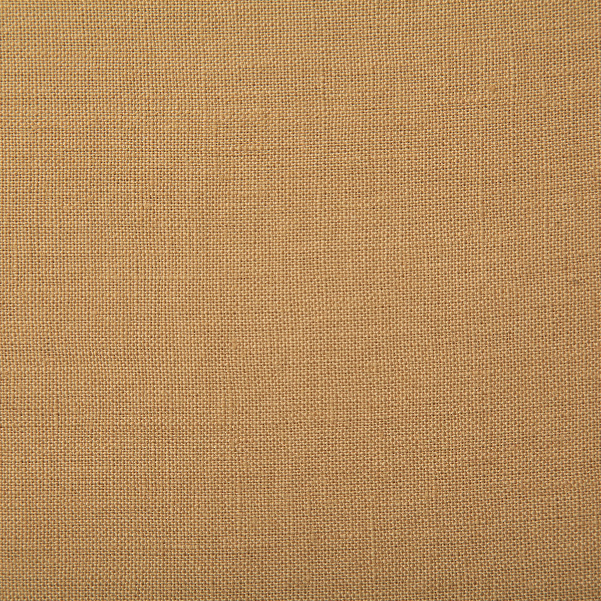 7648-princeton-camel-pindler - Pindler Tela