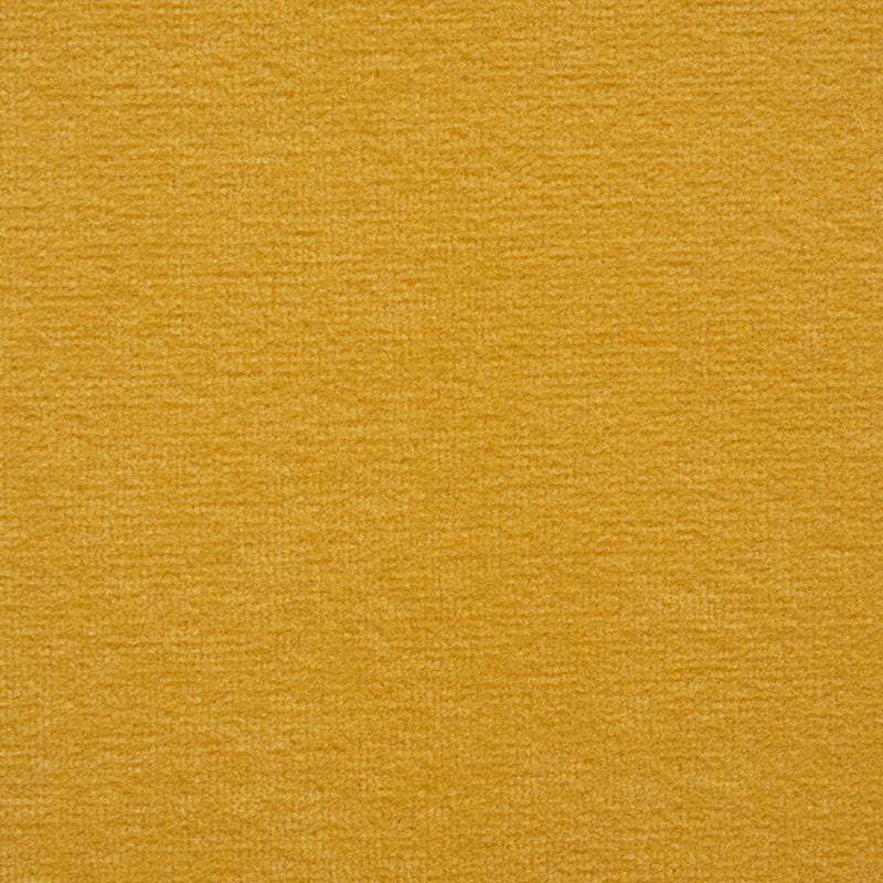 ROCKY-PERFORMANCE-VELVET-GOLD-SCHUMACHER-76603 - Schumacher Fabric