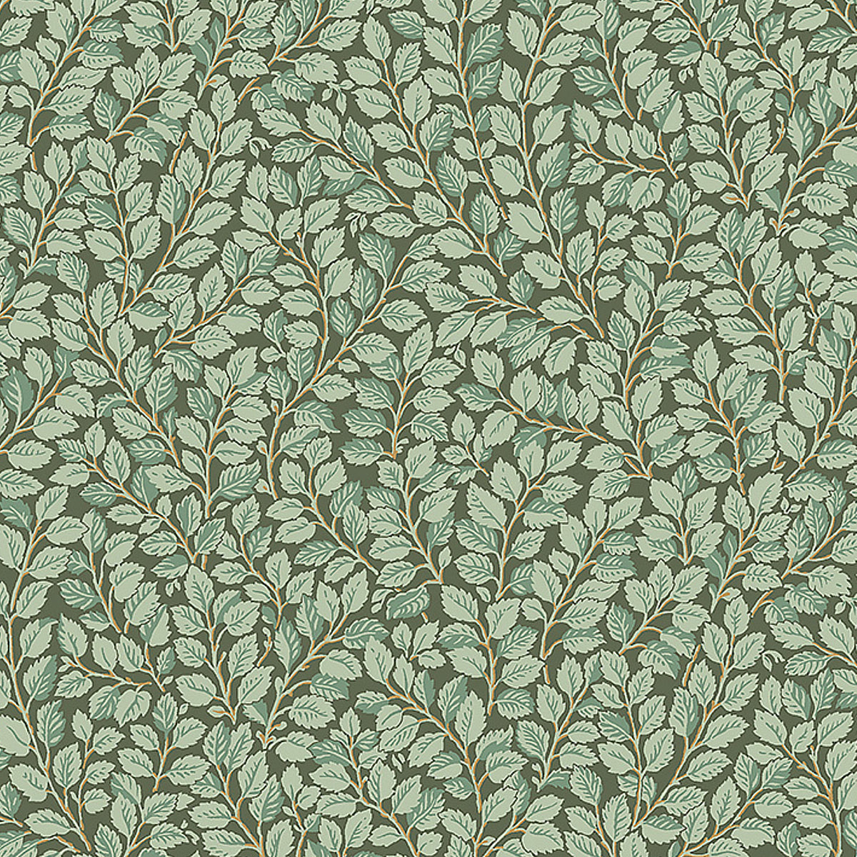 HAZEL-SPRUCE-SCHUMACHER-7663