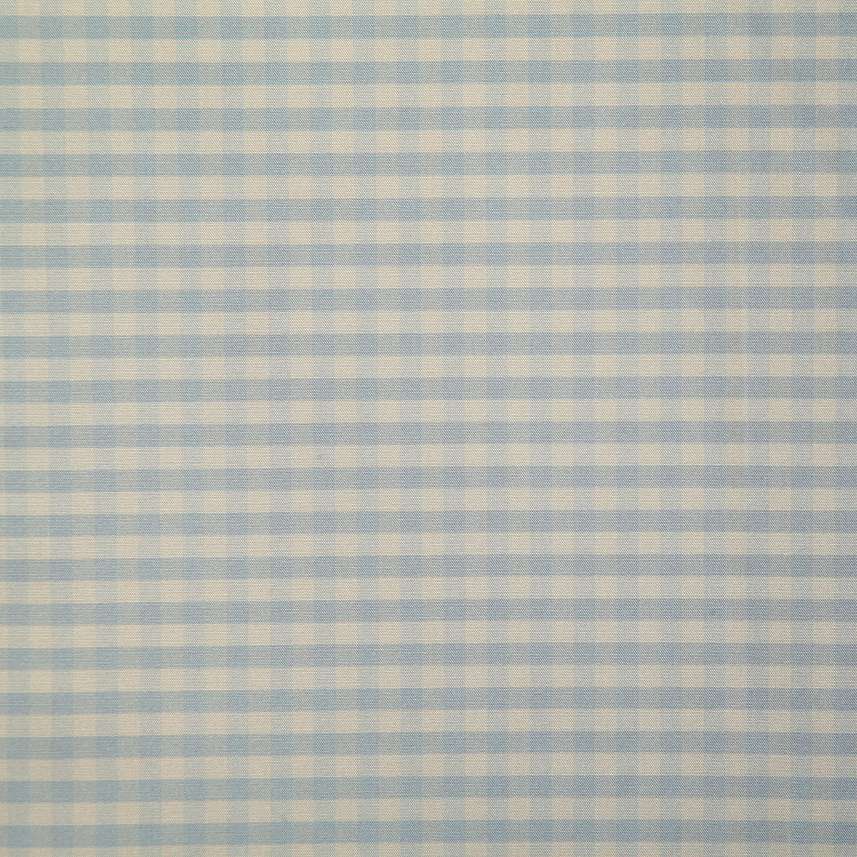 7670-shelby-sky-pindler