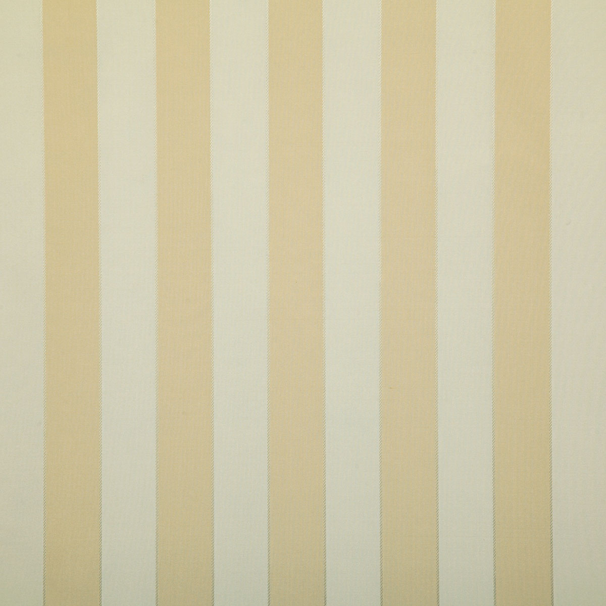 7672-shay-golden-pindler - Pindler Fabric