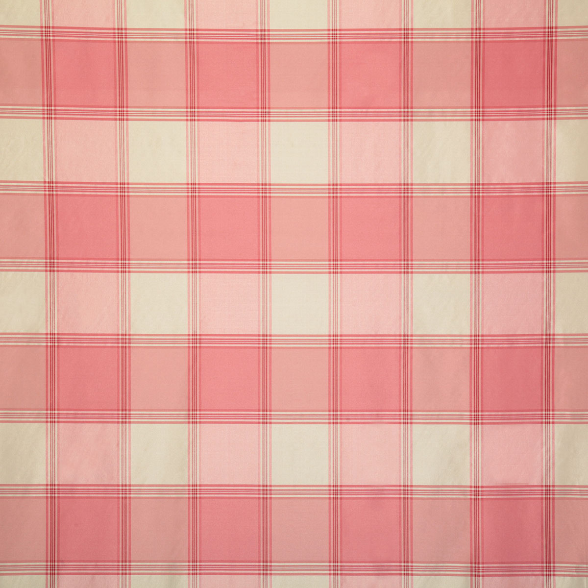 7675-shane-cameo-pindler