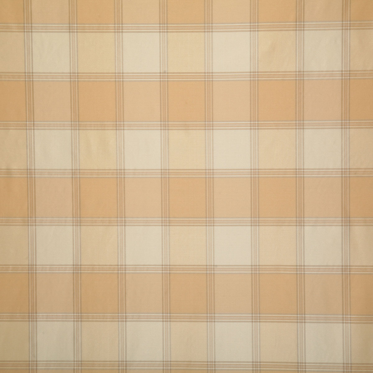 7675-shane-golden-pindler - Pindler Tela