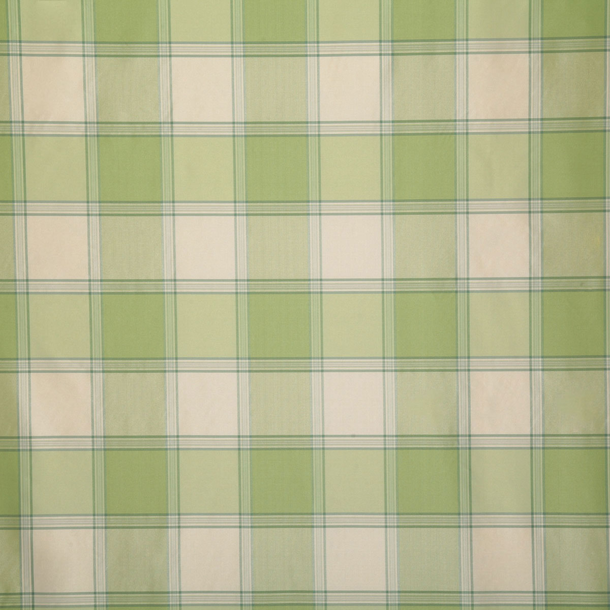 7675-shane-spring-pindler