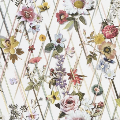 rocaille-christian-lacroix-pcl1005-01