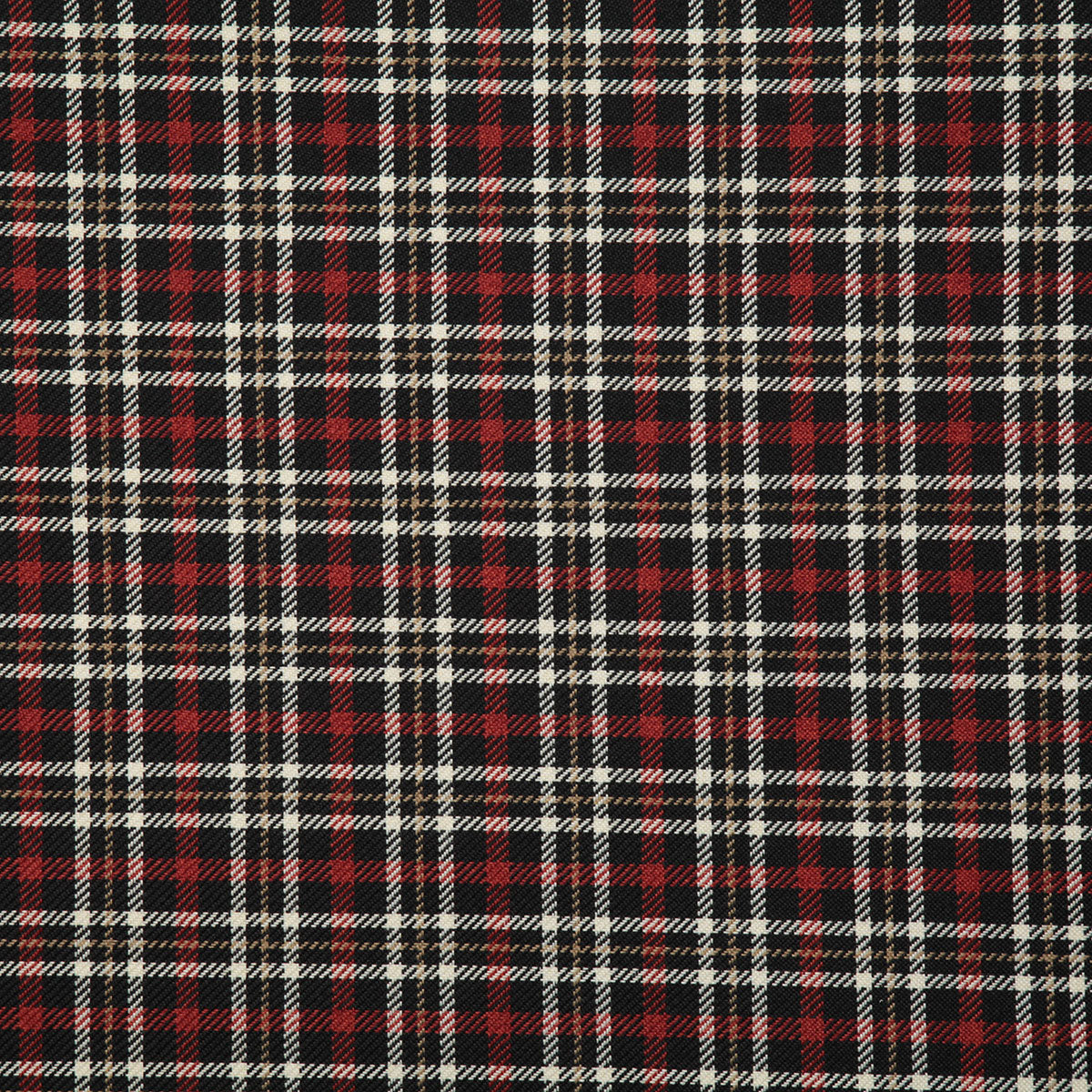 7811-kelvin-spice-pindler