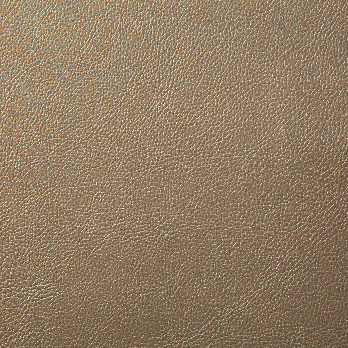 7879-howdy-champagne-pindler - Pindler Fabric