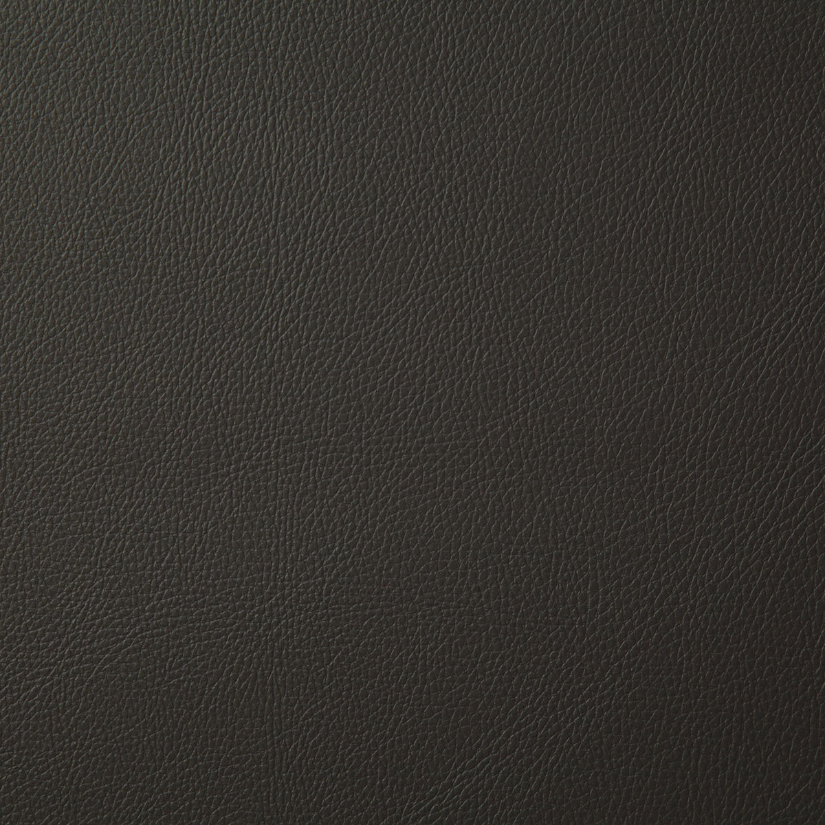 7879-howdy-clove-pindler - Pindler Fabric