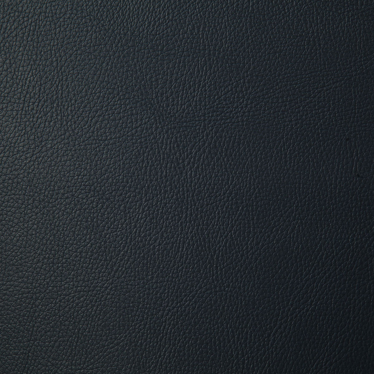 7879-howdy-midnight-pindler - Pindler Fabric