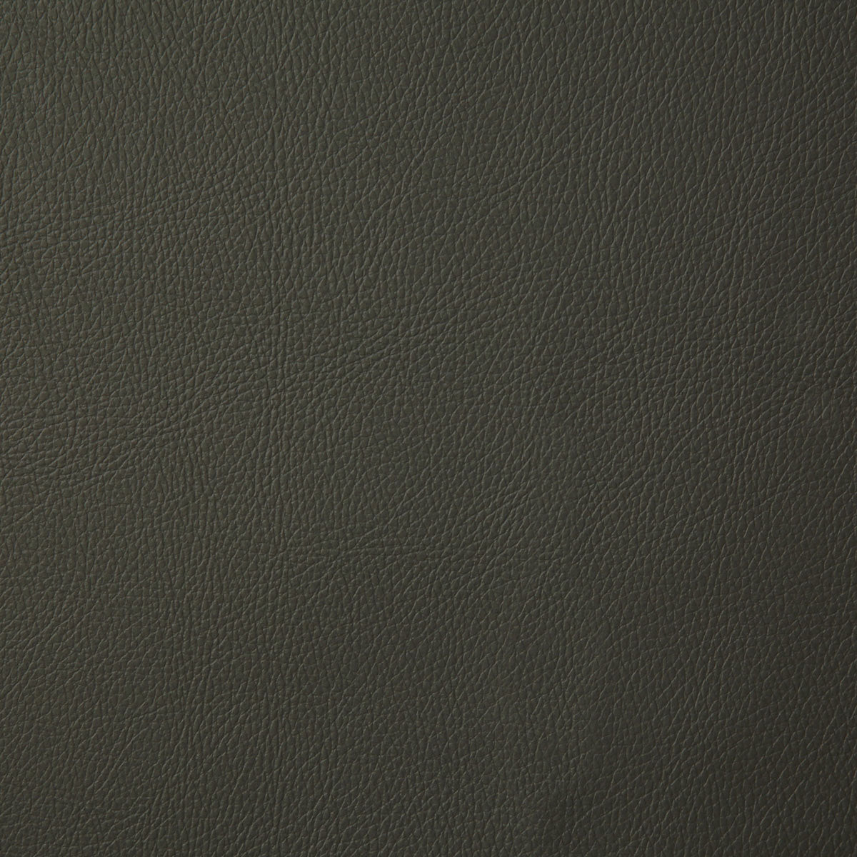 7879-howdy-moss-pindler - Pindler Fabric