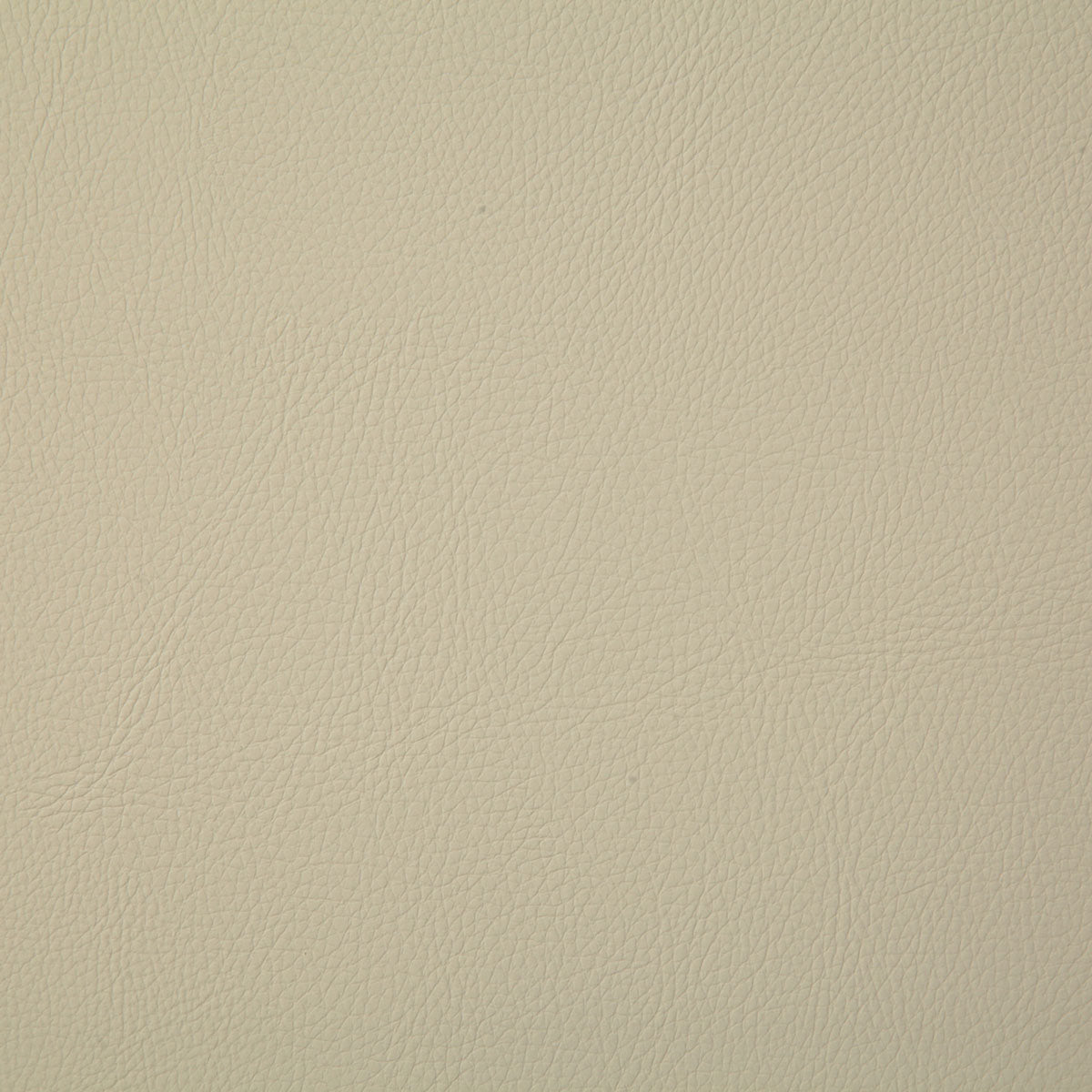 7879-howdy-tusk-pindler - Pindler Fabric