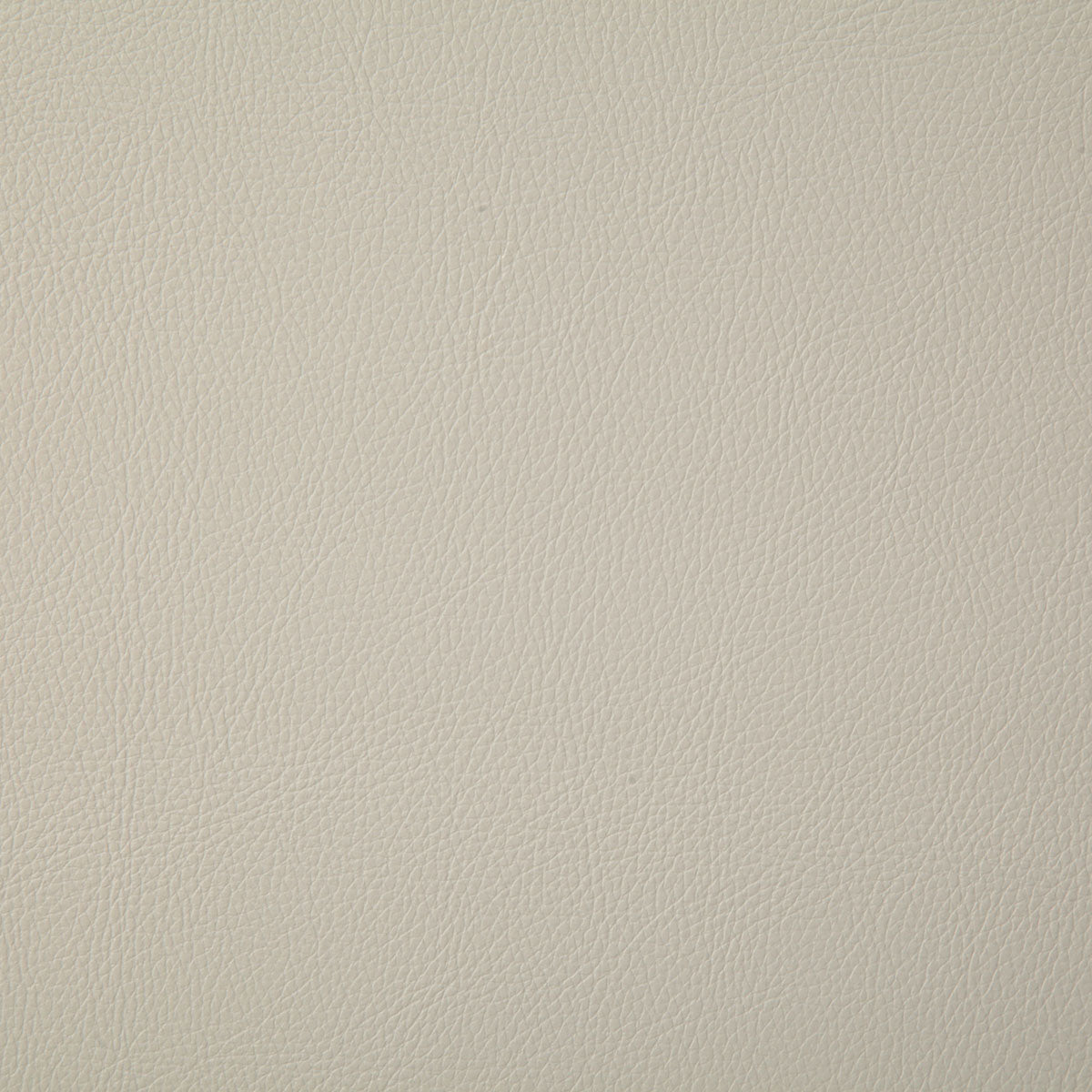 7879-howdy-white-pindler - Pindler Fabric