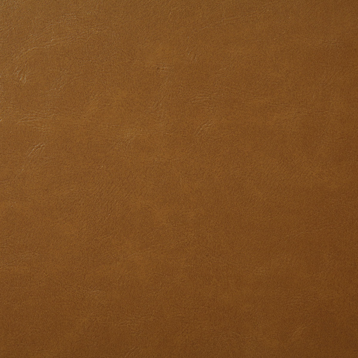 7880-bonanza-amber-pindler