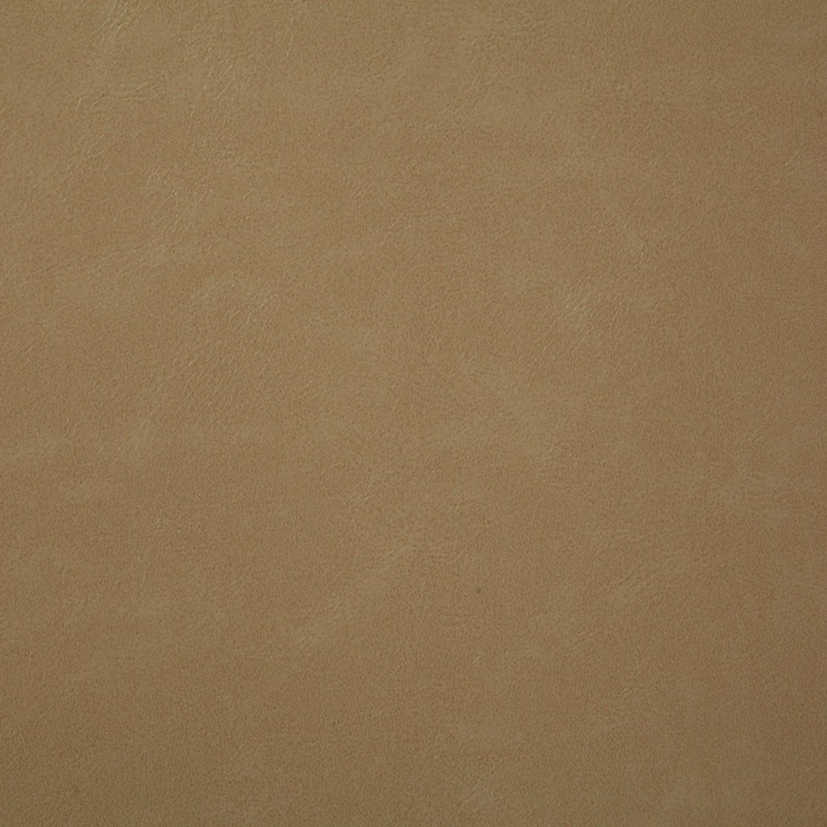 7880-bonanza-beige-pindler - Pindler Fabric