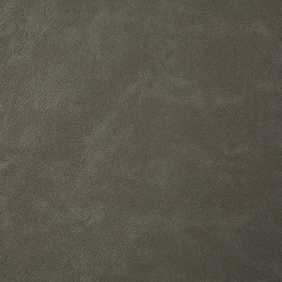 7880-bonanza-pewter-pindler - Pindler Fabric