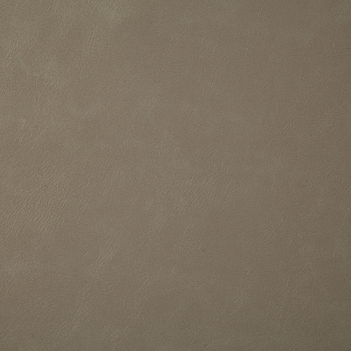 7880-bonanza-stone-pindler - Pindler Fabric