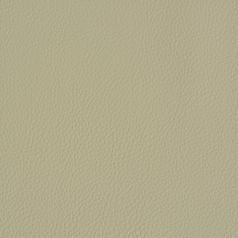 VEGAN-LEATHER-INDOOR-OUTDOOR-DUNE-SCHUMACHER-79553 - Schumacher Fabric