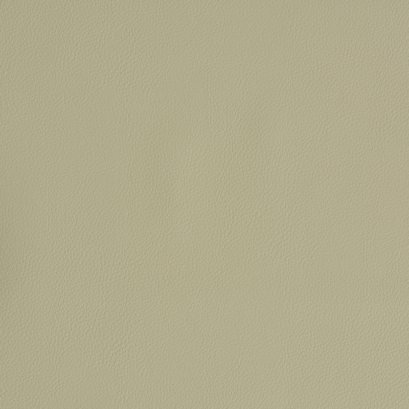Vegan Leather Indoor/Outdoor - Dune - Schumacher 79553 Fabric - Schumacher Fabric
