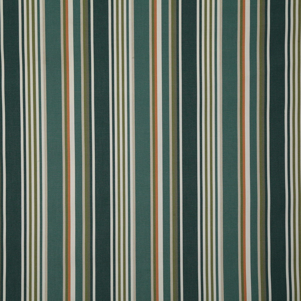 7980-dartmoor-forest-pindler