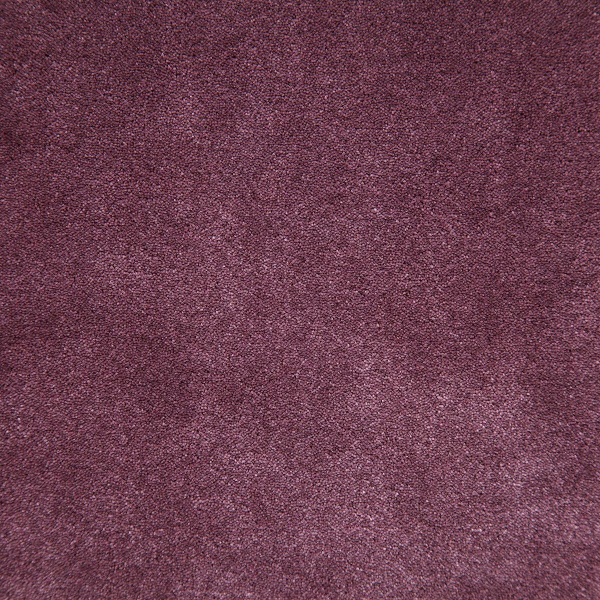 8003-titus-amethyst-pindler - Pindler Fabric