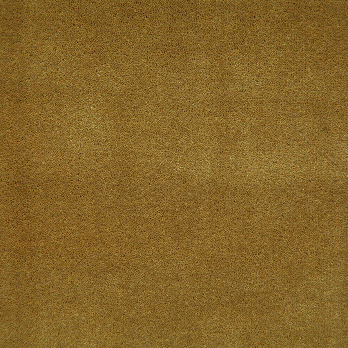 8003-titus-brass-pindler - Pindler Fabric