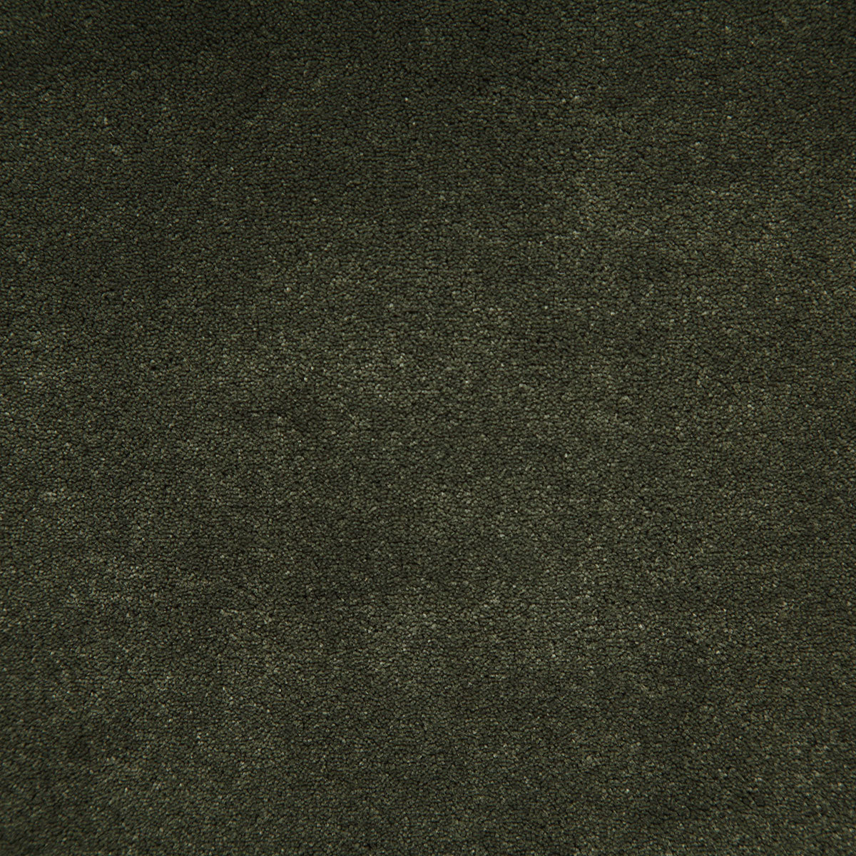 8003-titus-loden-pindler - Pindler Fabric