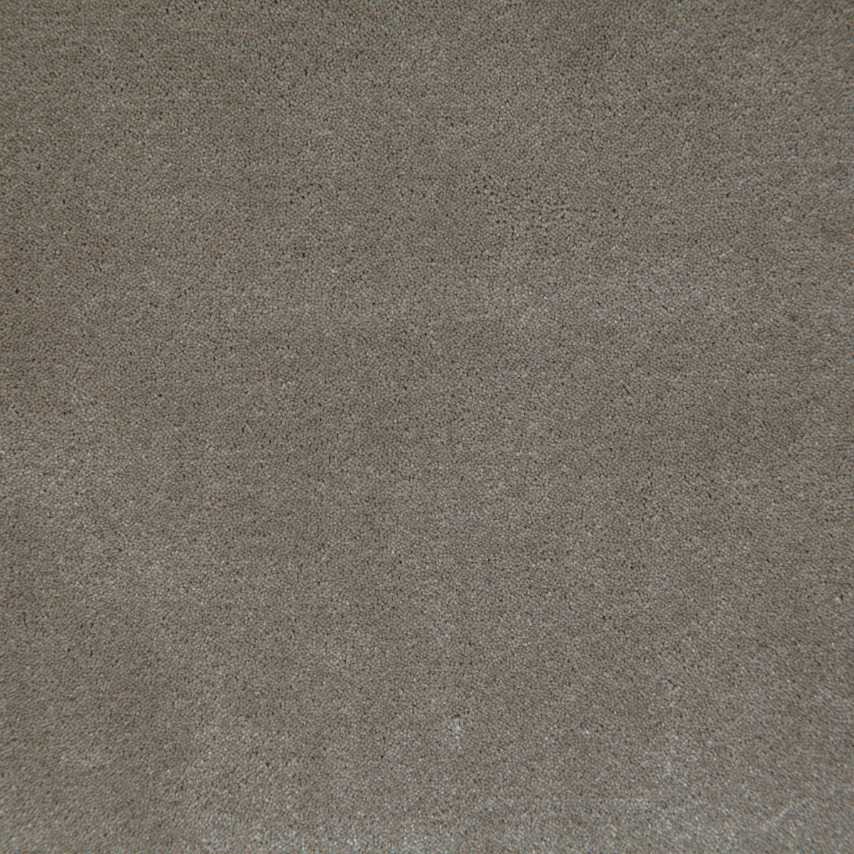 8003-titus-pumice-pindler - Pindler Fabric