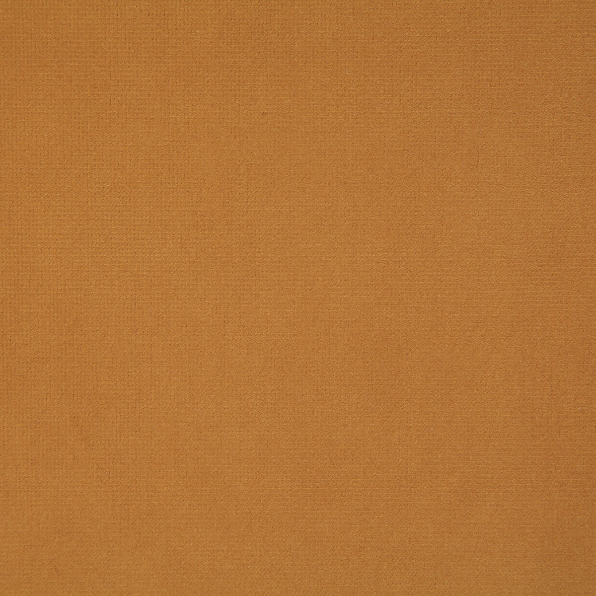 8004-florentina-amber-pindler - Pindler Fabric