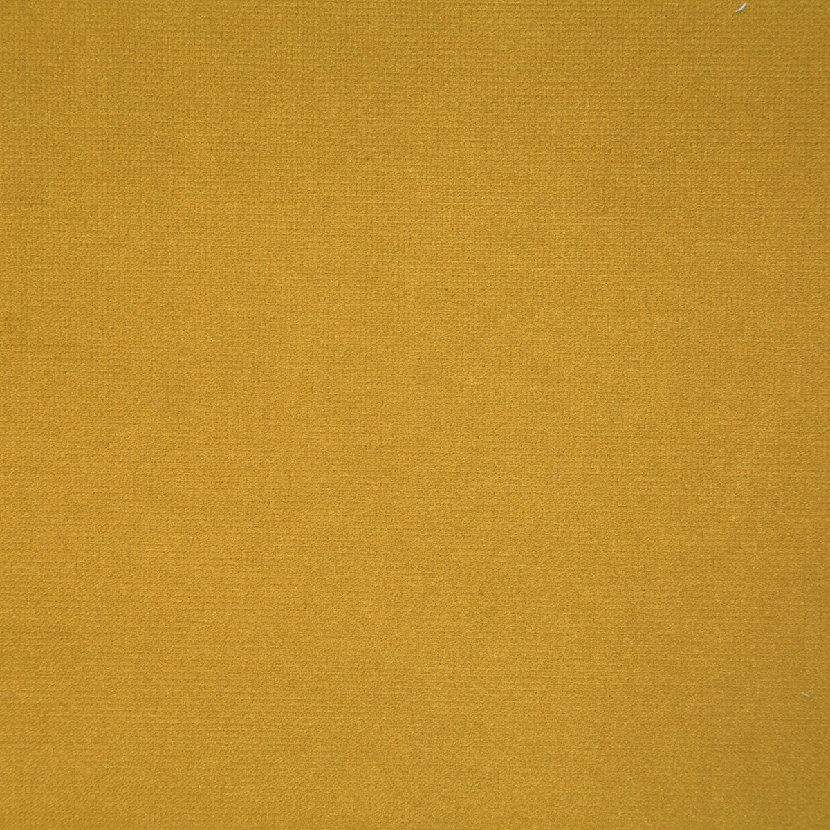 8004-florentina-brass-pindler - Pindler Fabric