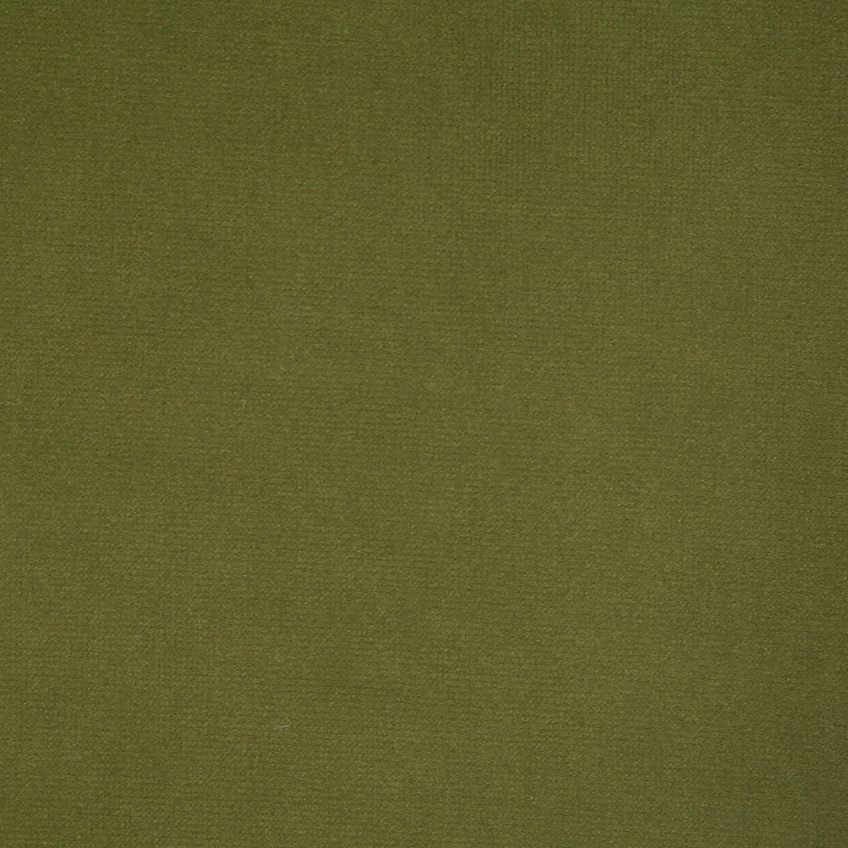 8004-florentina-olive-pindler - Pindler Fabric