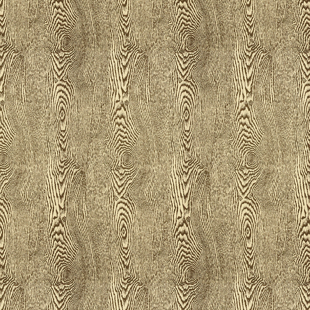 Wood - Bark - Brunschwig & Fils Fabric