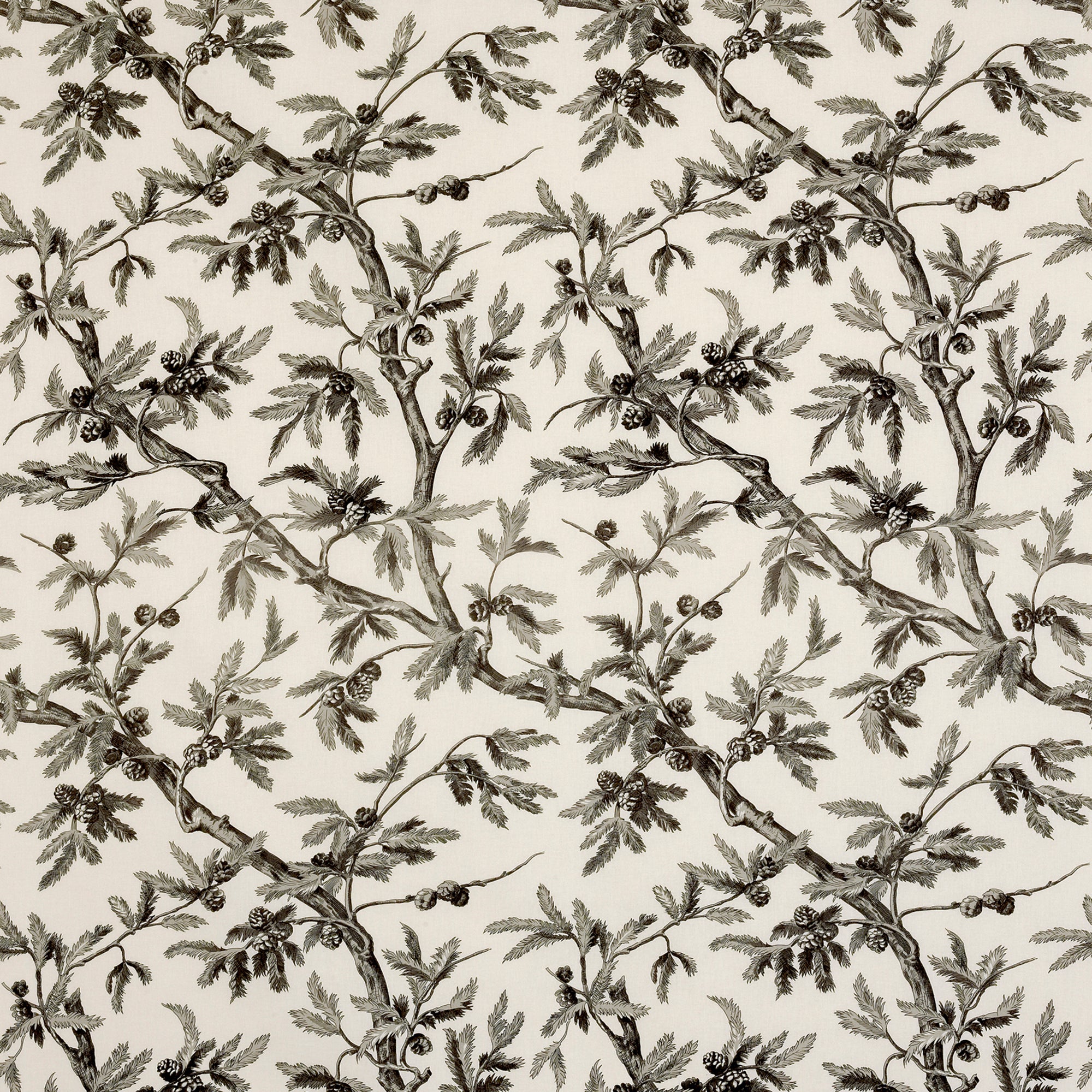 Branches De Pin - Beigegrey - Brunschwig & Fils Fabric