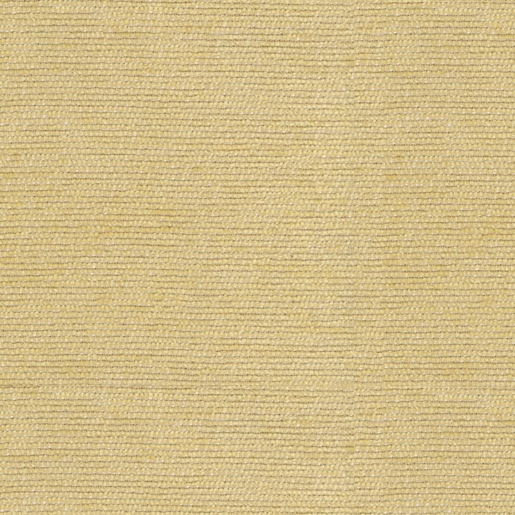 Revard Chenille - Lemon - Brunschwig & Fils Fabric