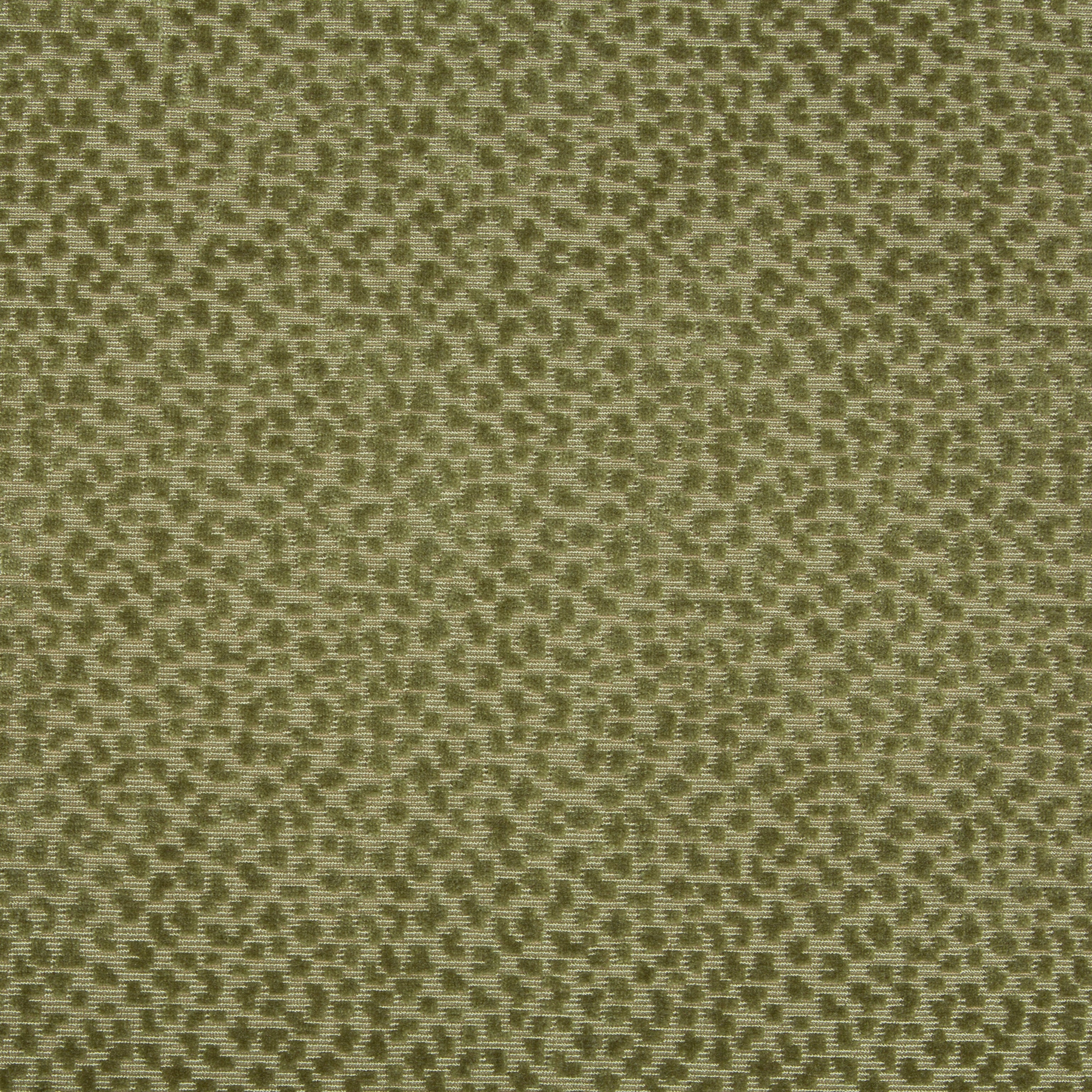 La Panthere Velvet - Moss - Brunschwig & Fils Fabric