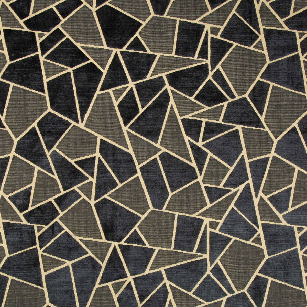 La Tortue Velvet - Midnight