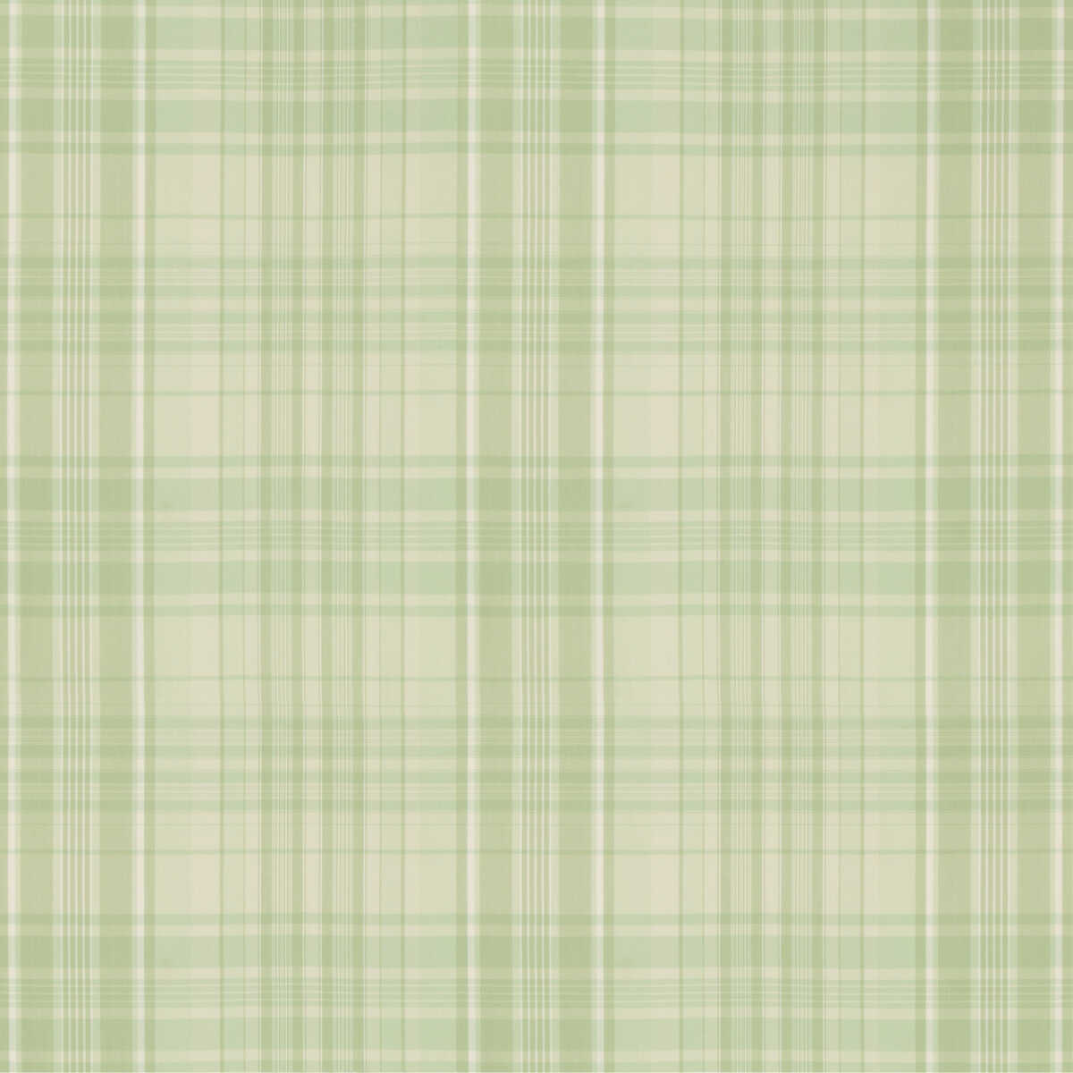 Guernsey Check - Celery - BRUNSCHWIG & FILS Tela