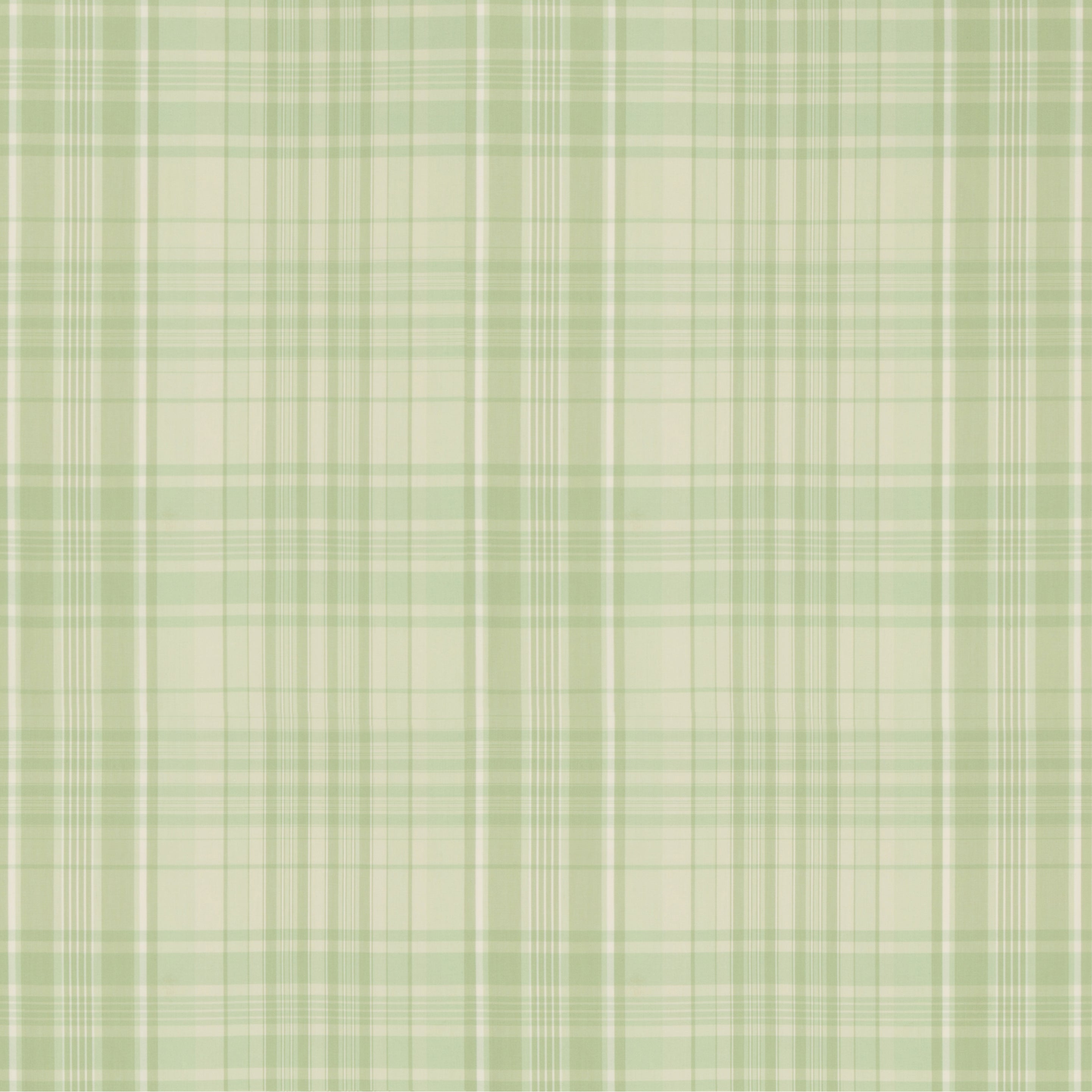 Guernsey Check - Celery - Brunschwig & Fils Fabric