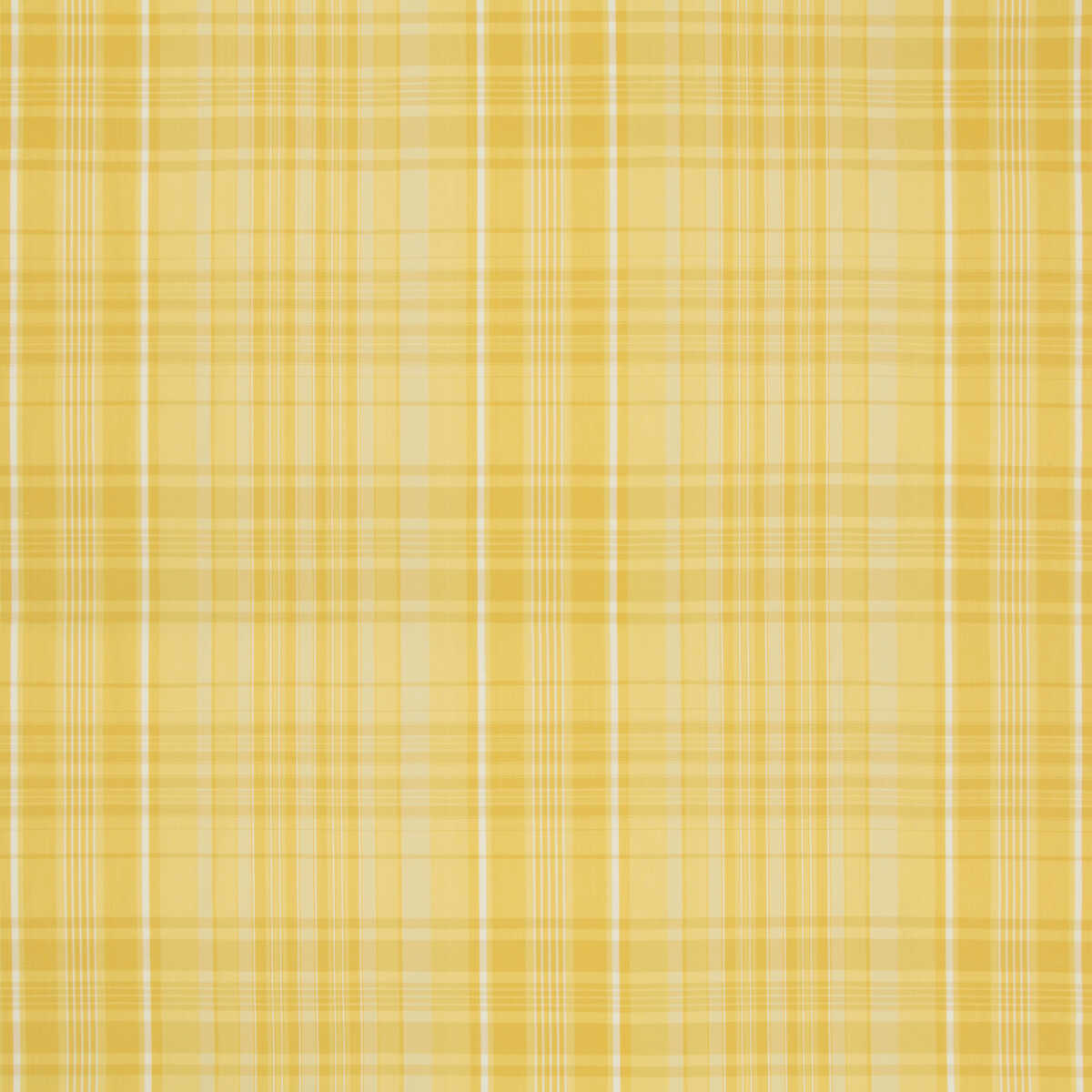 Guernsey Check - Yellow - BRUNSCHWIG & FILS Tela