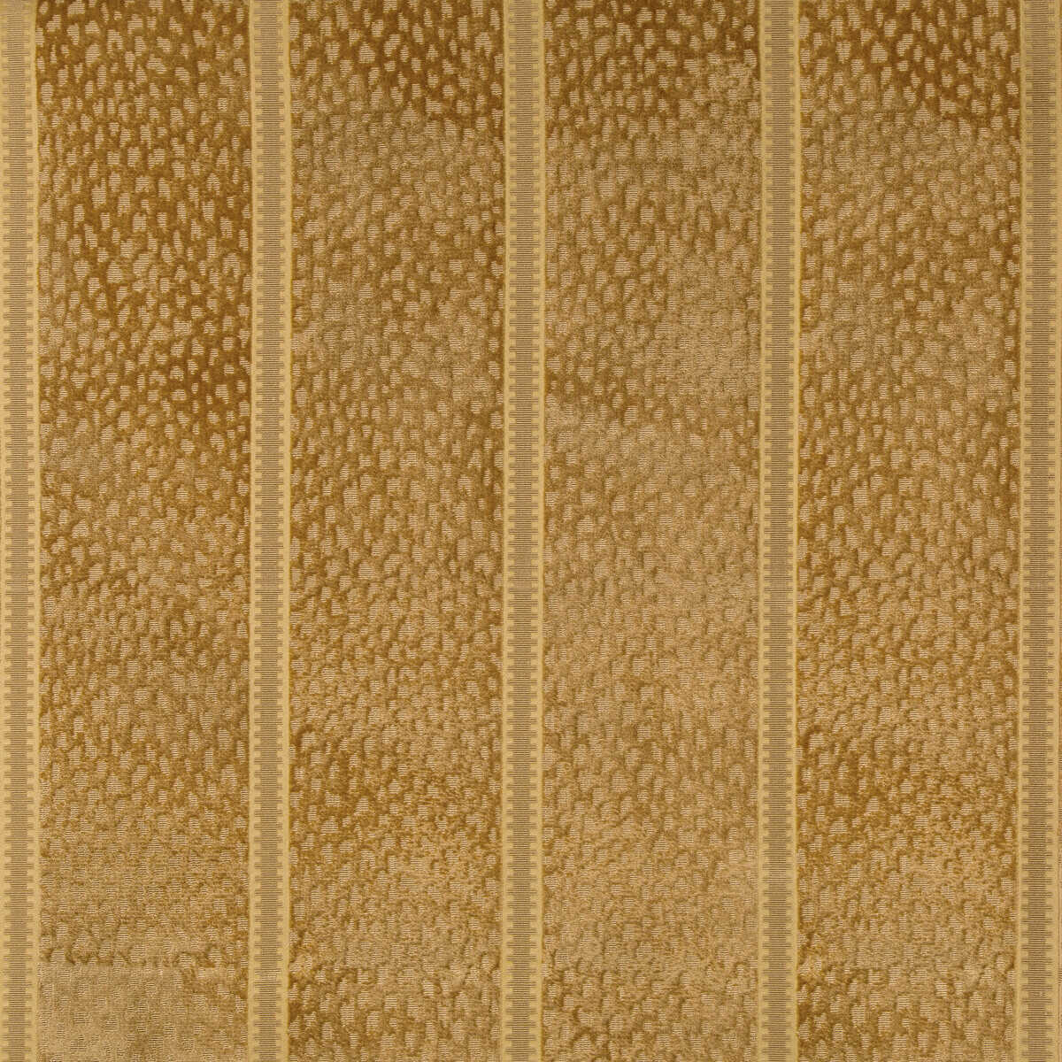 Salvator Velvet - Gold - BRUNSCHWIG & FILS Tela