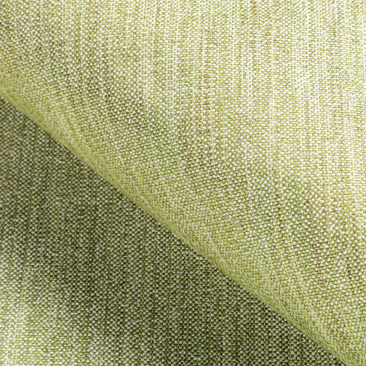 Rospico Plain - Leaf - BRUNSCHWIG & FILS Fabric
