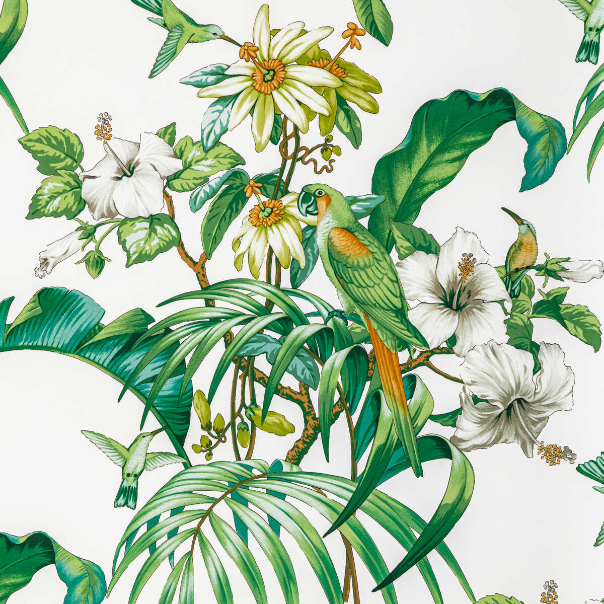 Anima Print - Leaf - BRUNSCHWIG & FILS Fabric