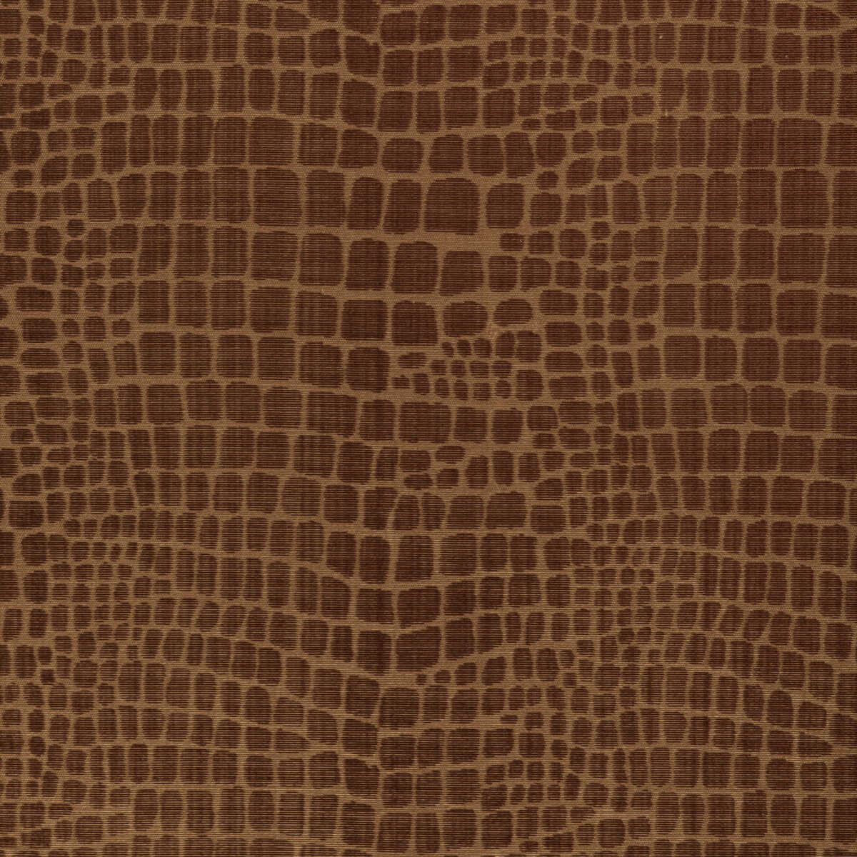 Croc Velvet - Amber - BRUNSCHWIG & FILS Fabric