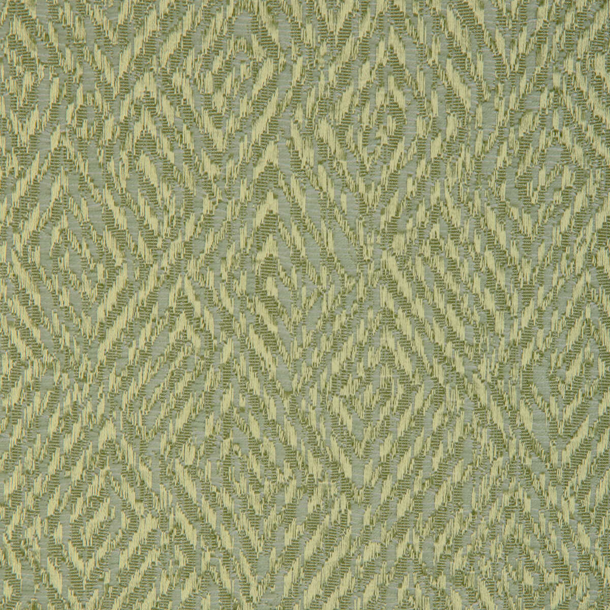 Pipet Texture - Leaf - BRUNSCHWIG & FILS Fabric