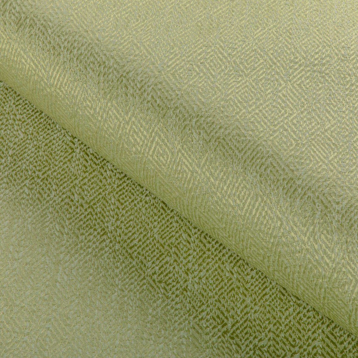 Pipet Texture - Leaf - BRUNSCHWIG & FILS Fabric