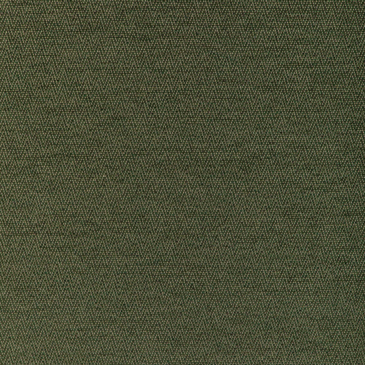Beauvoir Texture - Green - BRUNSCHWIG & FILS Tela