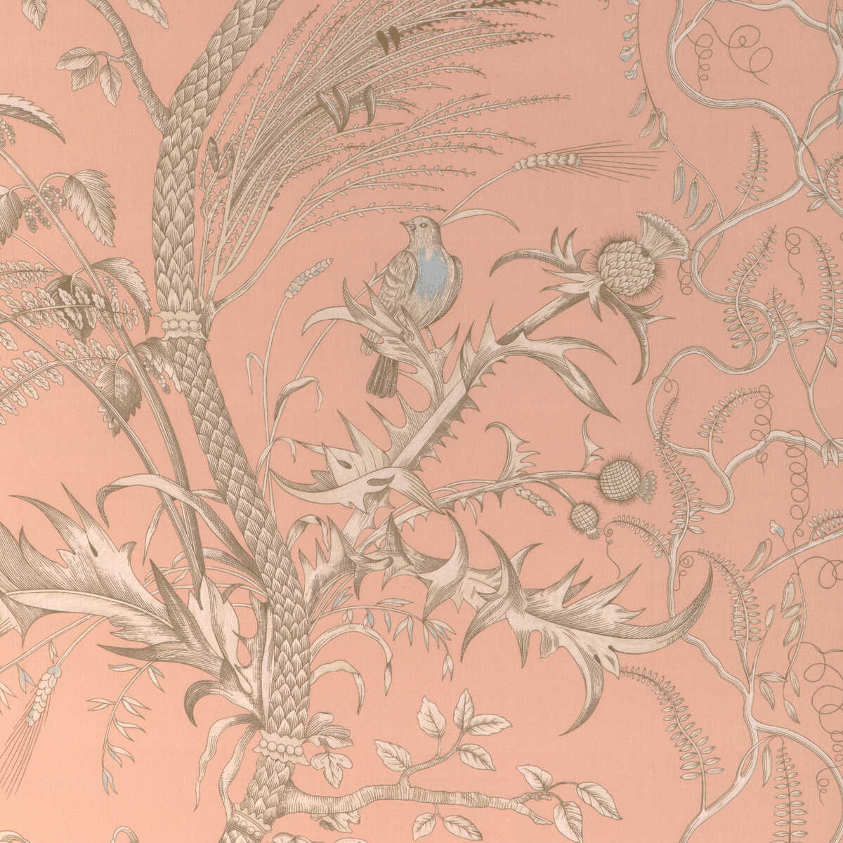 Bird And Thistle Ii - Peach - BRUNSCHWIG & FILS Tela